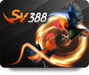 LSM99 เทคนิคการเดิมพันมวยไทยให้ได้ผลชนะสูงสุด